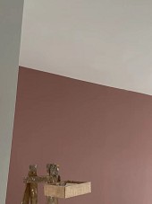 臻心油漆首席油漆師傅，擁有豐富施工經驗